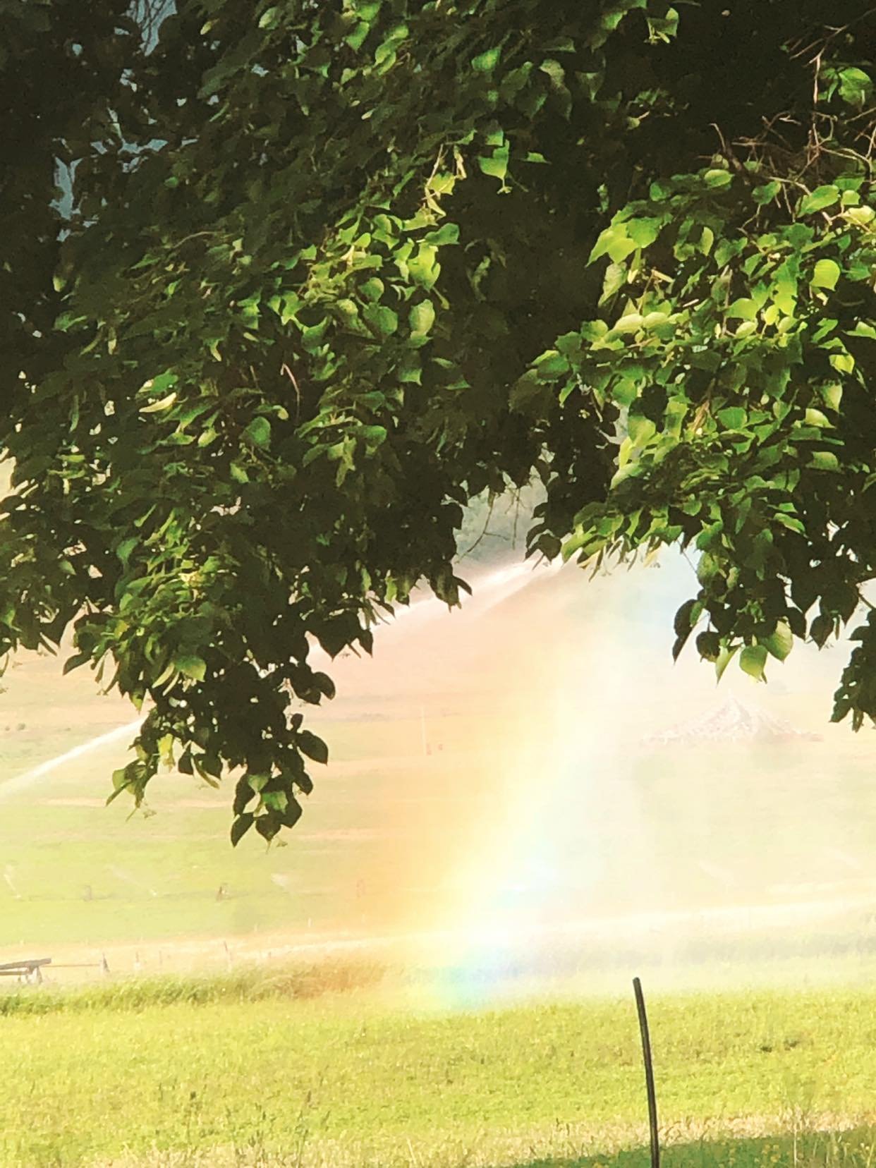 Rainbow at Garden of One Thosuand Buddhas
